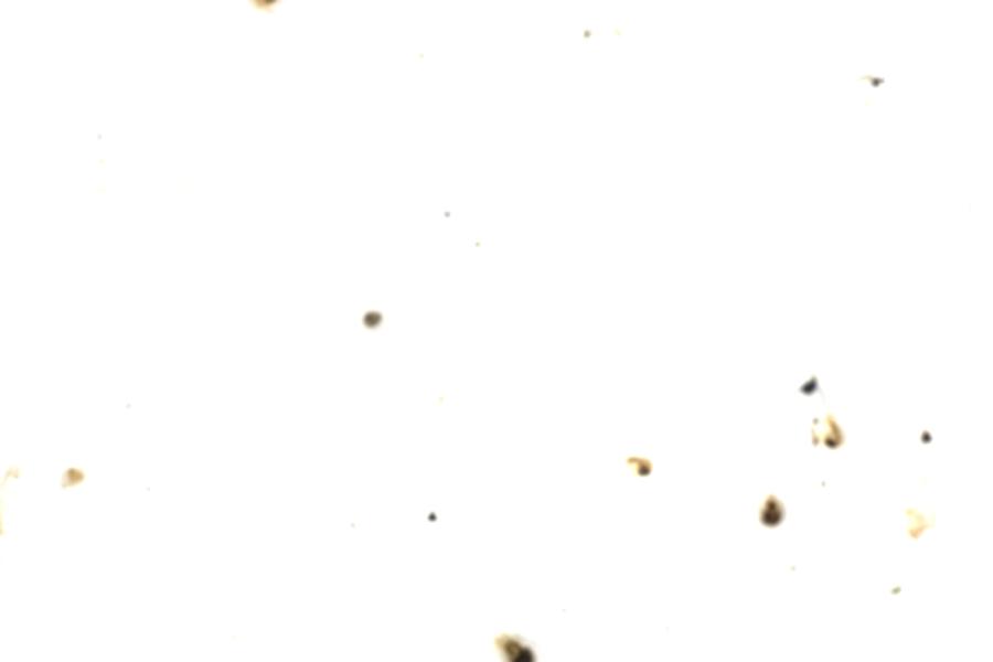 Image 101